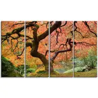 Design Art Autumn Maple Tree Landscape 4 Piece Photographic Print on Wrapped Canvas Set