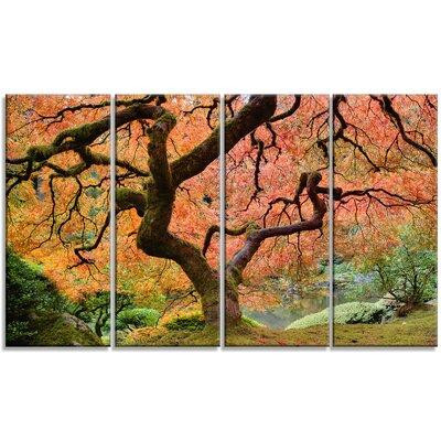 Design Art Autumn Maple Tree Landscape 4 Piece Photographic Print on Wrapped Canvas Set in Arts & Collectibles