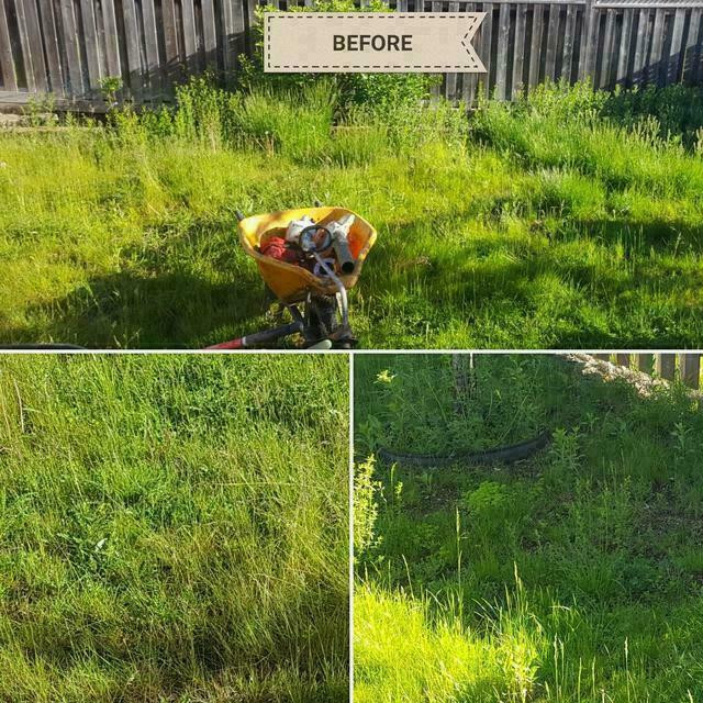SOD $1.50 SQ/FT FREE ESTIMATES, REMOVAL AND INSTALL, NEW LAWN, NEW GRASS BOOK NOW!! in Other in Markham / York Region - Image 3