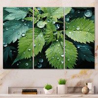Design Art Ferns Plant Gossamer Veil I - Floral Metal Wall Art Set