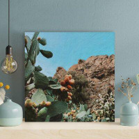 Foundry Select Green Cactus Plant Near Brown Rock Formation During Daytime - 1 Piece Square Graphic Art Print On Wrapped