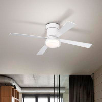 Ebern Designs Kadel Ceiling Fan with LED Lights