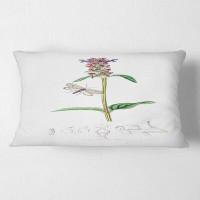 East Urban Home Vintage Insects And Plants II Floral Lumbar Pillow