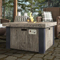 Beachcrest Home Gofried Stainless Steel Propane Fire Pit Table