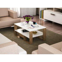 East Urban Home Carrubba Sled Coffee Table with Storage