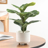 Primrue Riviera Faux Fiddle Leaf Fig Plant In Ceramic Pot - 14" Height