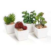Primrue Set Of 4 Mini Assorted Artificial Succulents In Cube Ceramic Pots