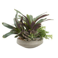 Primrue Pineapple Leaf Plants With Leather Fern And Echeveria In Contemporary Concrete Bowl