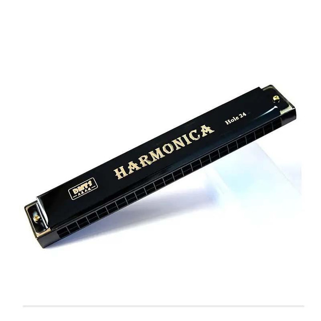 Harmonica C 24 Hole Tremolo Harmonica Key of C, Professional Harmonica C Tremolo Harmonica Black in Other