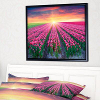 East Urban Home 'Blooming Tulips at Sunrise' Framed Photograph on Canvas