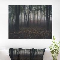 Made in Canada - East Urban Home Dark Spooky Misty Wild Forest - Photograph Print