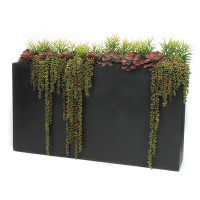 Dalmarko Designs Succulents Mix in wood planter
