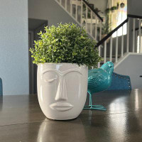 Bungalow Rose Bungalow Rose Face Planters Pots, Modern Ceramic Human Face Planter For Home Décor, White
