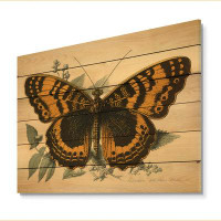 August Grove Vintage Illustration Of Butterfly I - Print