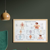 East Urban Home Ambesonne Human Anatomy Wall Art With Frame, Complete Chart Different Organ Body Structures Cell Life Il
