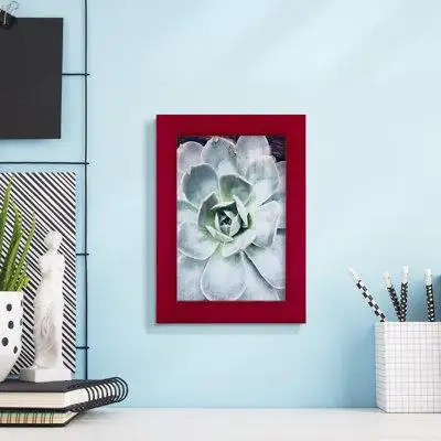 Red Barrel Studio Pastel Succulent Beauty IV Framed On Paper Print