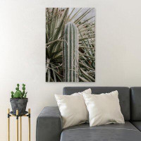 Foundry Select Close View Of Cactus Plant - Wrapped Canvas Painting
