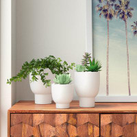 Wade Logan Anvesha 3-Piece Ceramic Pot Planter Set