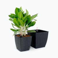 Ebern Designs 2-Pack  Self-Watering Planter - Hand Woven Wicker - Thin Square - Dark Grey