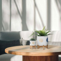 Wrought Studio Keeleigh 2-Piece Ceramic Pot Planter Set