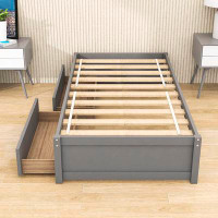 Red Barrel Studio Twin Size Wood Platform Bed with 2 Drawers