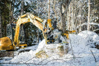 Tree Shear for Thinning and Firesmart Operations.  In stock.