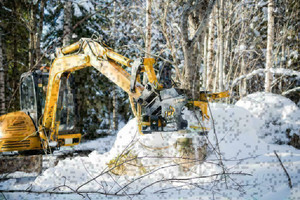 Tree Shear for Thinning and Firesmart Operations.  In stock. British Columbia Preview