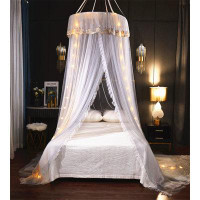 BTERAZ Bed Canopy