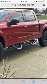 15-19 Ford F-150 Ici rt steps