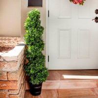 Charlton Home 40.25" Artificial Boxwood Topiary in Planter