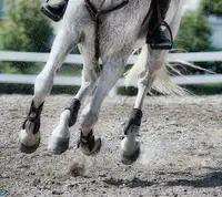 Crumb Rubber Horse Arena Footing! Discounts for Volume Buys!