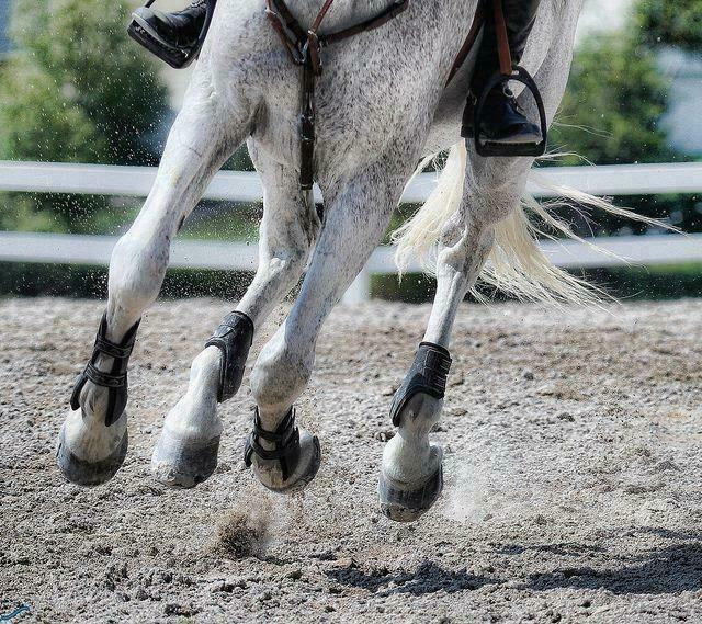 Crumb Rubber Horse Arena Footing! Discounts for Volume Buys! in Other in Greater Vancouver Area