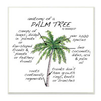 Stupell Industries Tropical Palm Tree Educational Plants Flora Diagram  Wall Plaque Art By Dishique