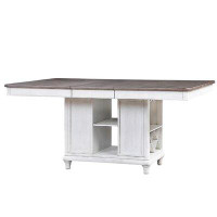 One Allium Way Dunecrest Counter Height Extendable Dining Table