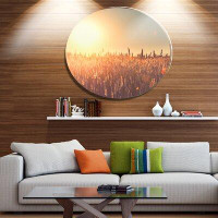 Made in Canada - Design Art 'Rural Land under Shining Sun' Photographic Print on Metal