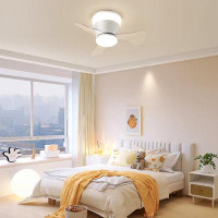Orren Ellis 19.6" Ceiling Fan with LED Lights