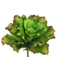 Primrue 9'' Artificial Succulent Plant
