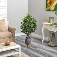 Primrue 4Ft. Ficus Artificial Tree In Grey Planter With Stand