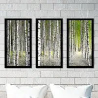 Made in Canada - Picture Perfect International "Birch Trees 1" 3 Piece Framed Photographic Print Set