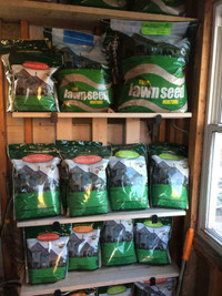 Lawn grass seed for various challenging conditions in Canadian climate: drough, shade, intensive wear, cold winters, etc