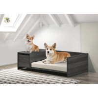 Tucker Murphy Pet™ Pet Bed W/Cushion