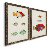 Wexford Home Colourful Tropical Fish I-Premium Framed Canvas - Ready To Hang
