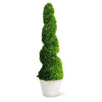Primrue Preserved Boxwood Spiral Topiary In Planter - 47"