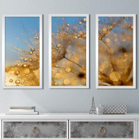 Picture Perfect International 'Dewy Dandelion Flower at Sunset Close Up' 3 Piece Framed Graphic Art Set
