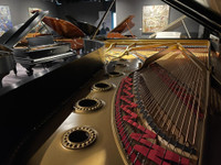 STEINWAY, Model D, Concert Grand Piano, Used in Performances with the TSO, Only available @ The Piano Boutique