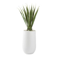 D & W Silks 5.5' Agave Plant In Large Round Planter