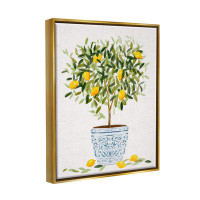 Stupell Industries Lemon Tree Detailed Planter Framed Floater Canvas Wall Art by Ziwei Li