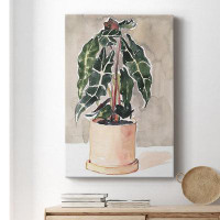 Red Barrel Studio Potted Houseplant I Premium Gallery Wrapped Canvas - Ready To Hang