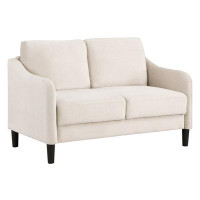 Winston Porter Loveseat Sofa Small Couch for Small Space for Living Room,Bedroom