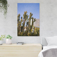 Foundry Select Green Cactus Plant Near White Concrete Building During Daytime - 1 Piece Rectangle Graphic Art Print On W